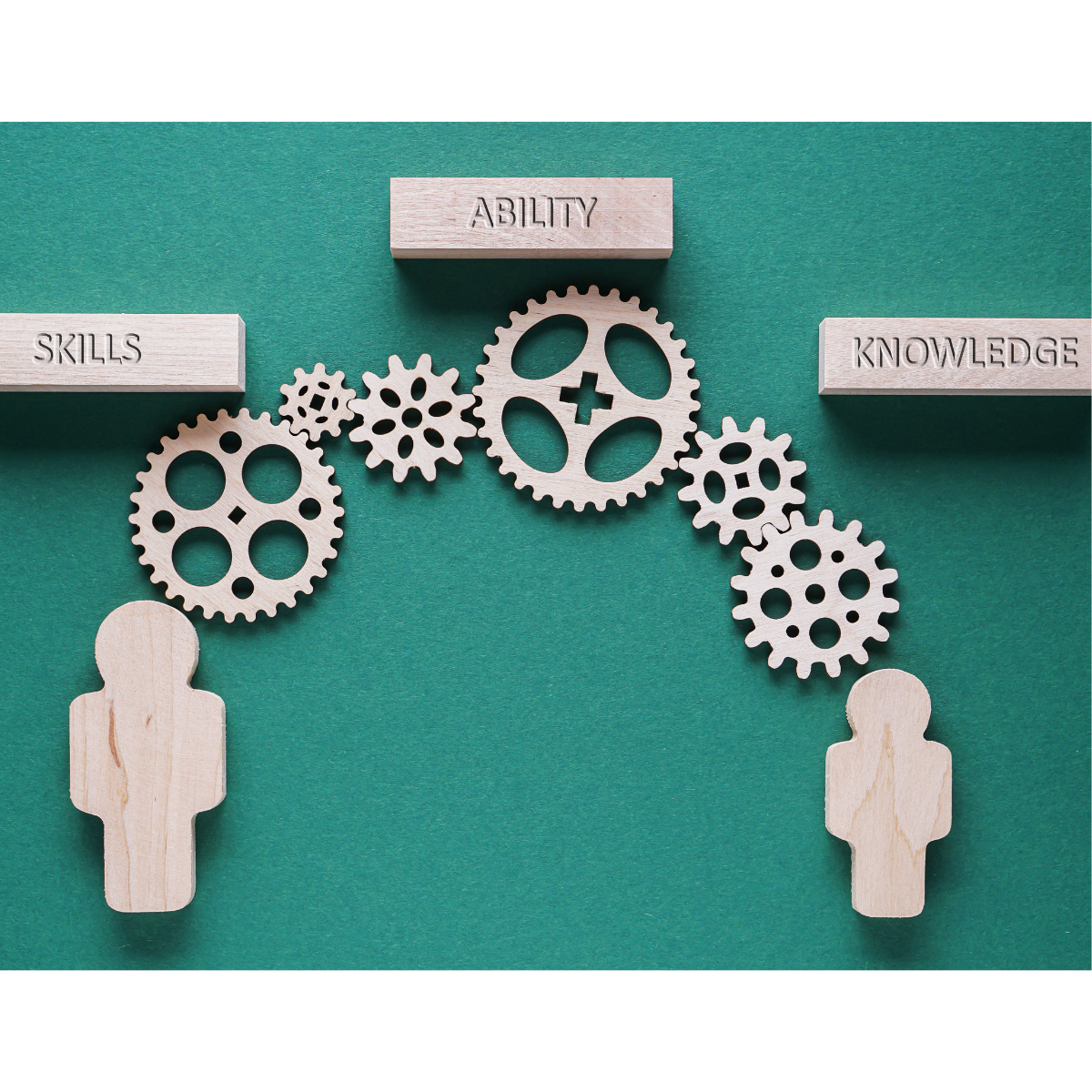 Board skills matrix: examples, templates and how to build one