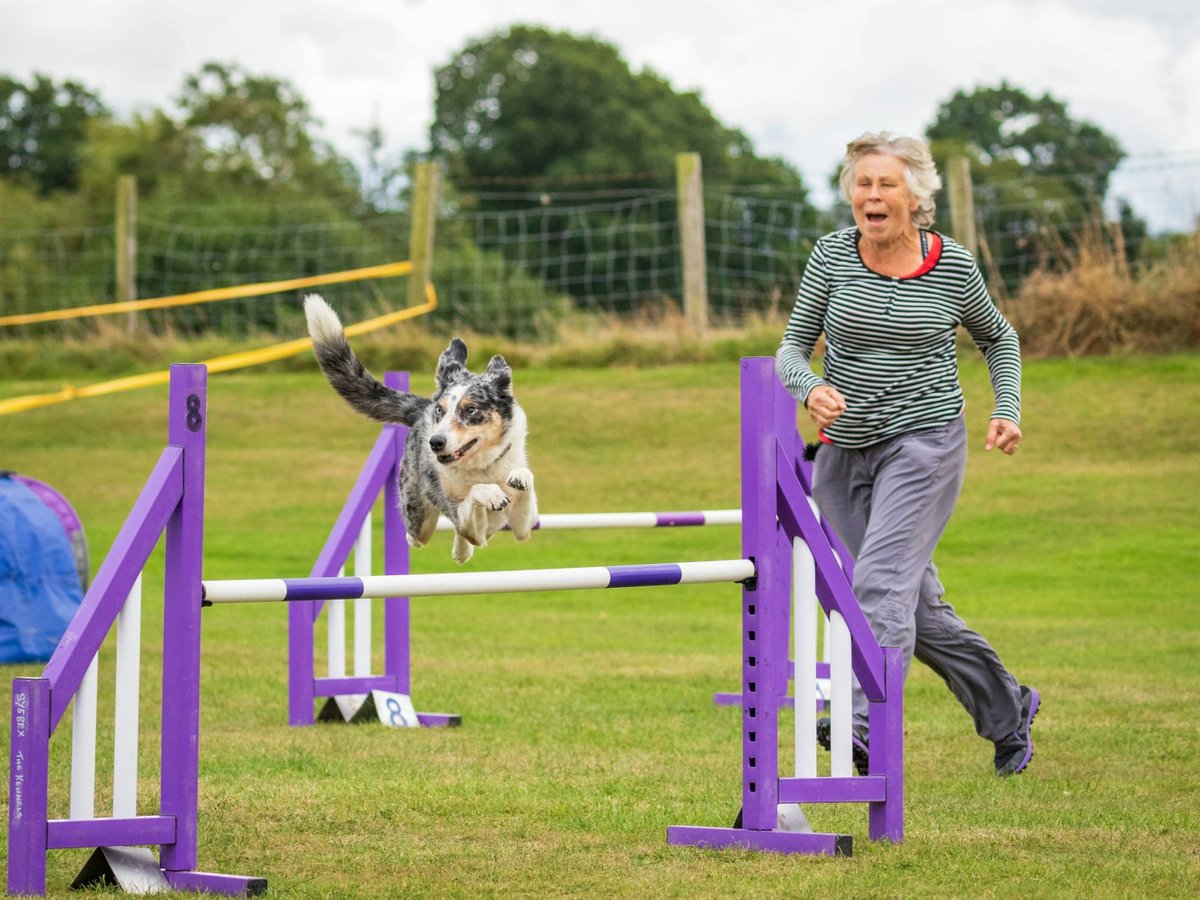 Agility research Webbanner Agility research Webbanner