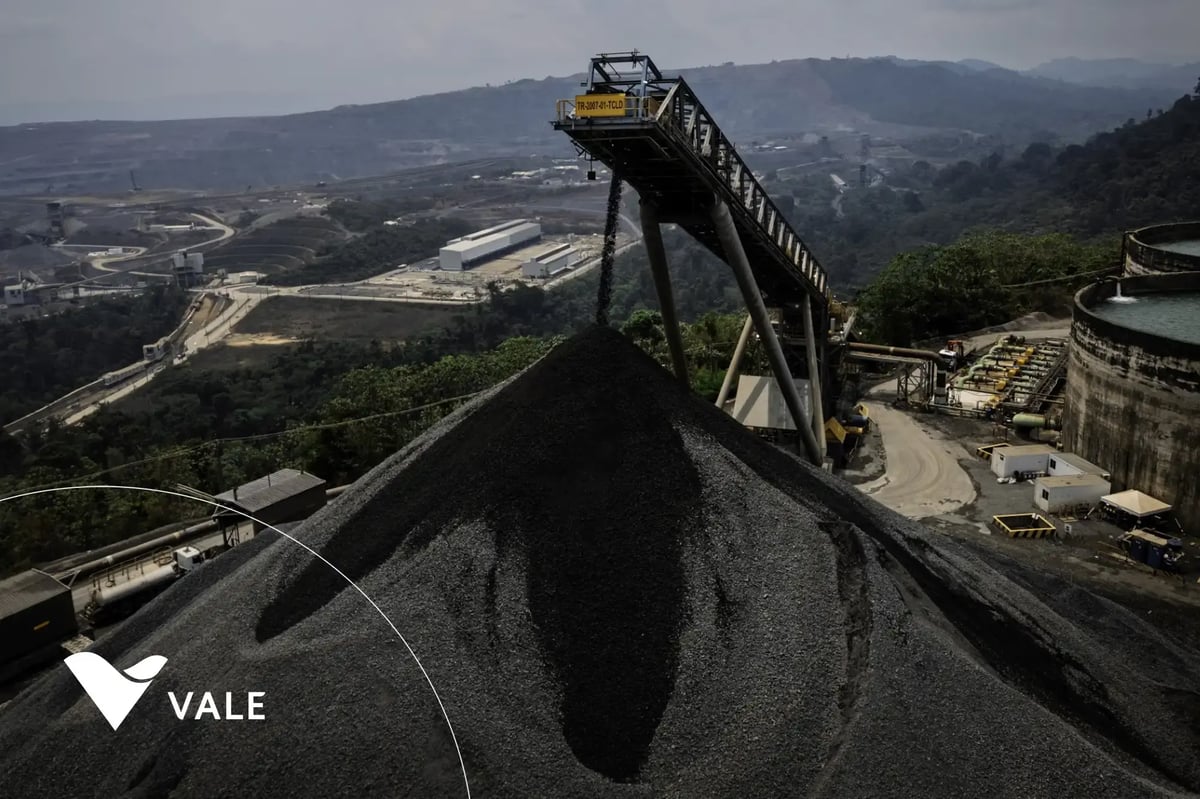 vale-metals-case-study vale-metals-case-study